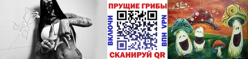 Псилоцибиновые грибы Psilocybe  Южно-Сухокумск 