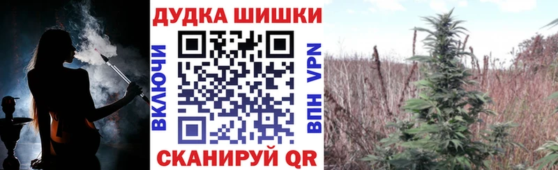 Бошки Шишки сатива  даркнет сайт  Южно-Сухокумск 